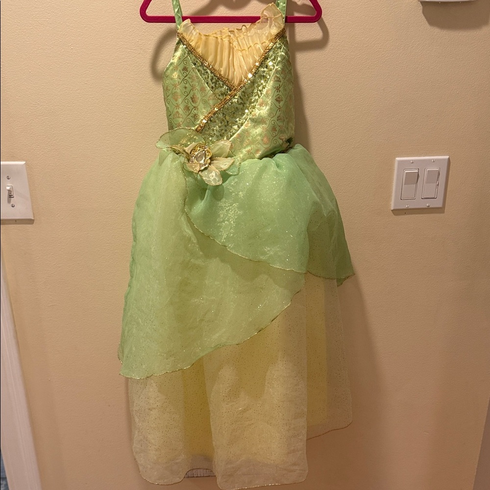 Disney Green and Gold Girls Costume
Tiana/ Princess and the Frog